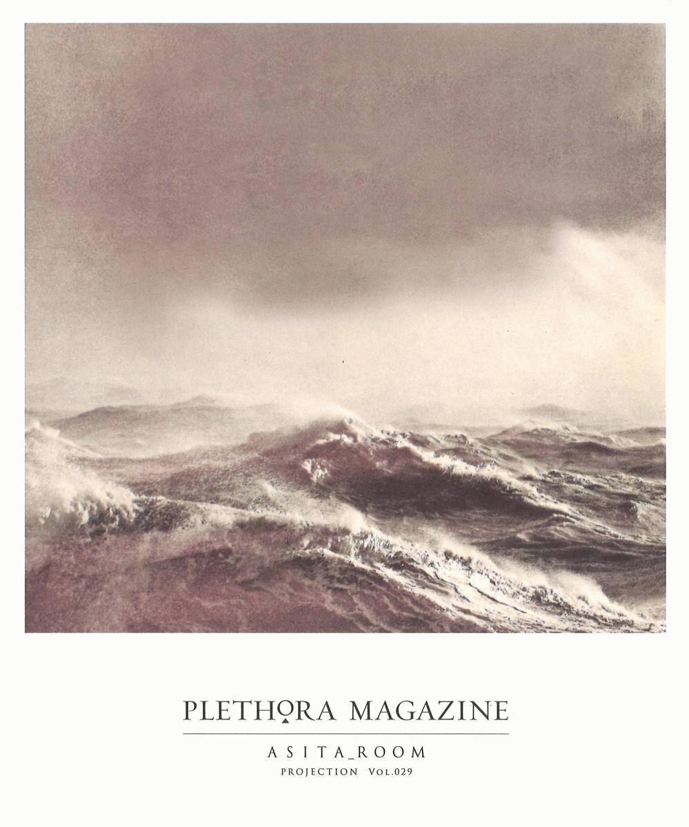 plethora_magazine_omote.jpg